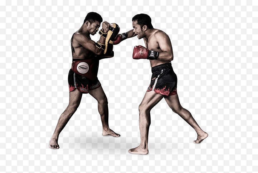 Boxing Evolve Vacation - Boxing Glove Png,Boxing Png