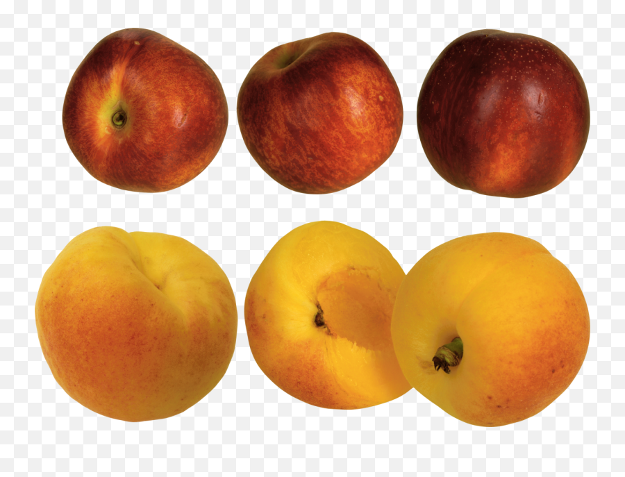 Png Background - Peach,Peach Transparent Background