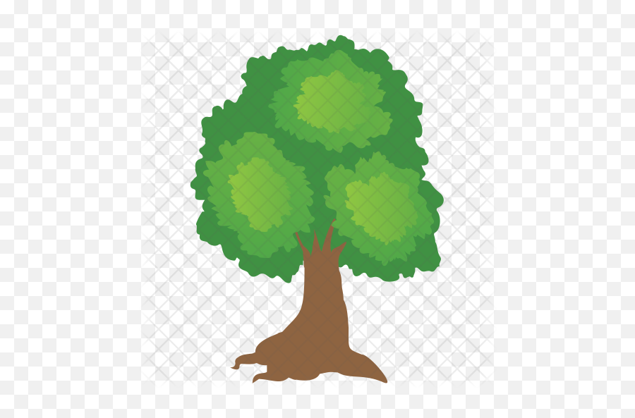 Oak Tree Icon Of Flat Style - Oak Tree Png Icon,Oak Tree Png