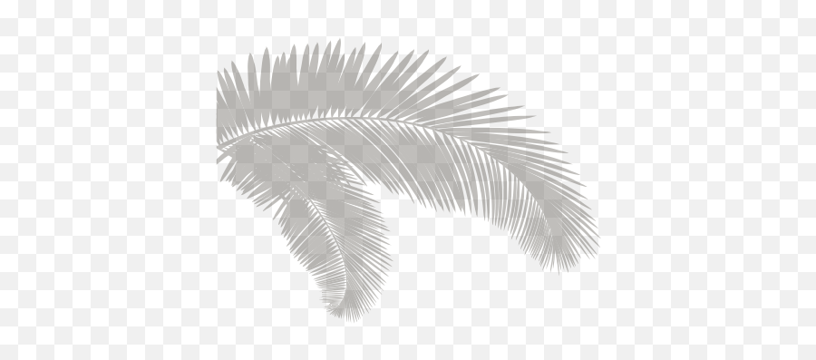 Index Of - Vertical Png,Palm Branch Png