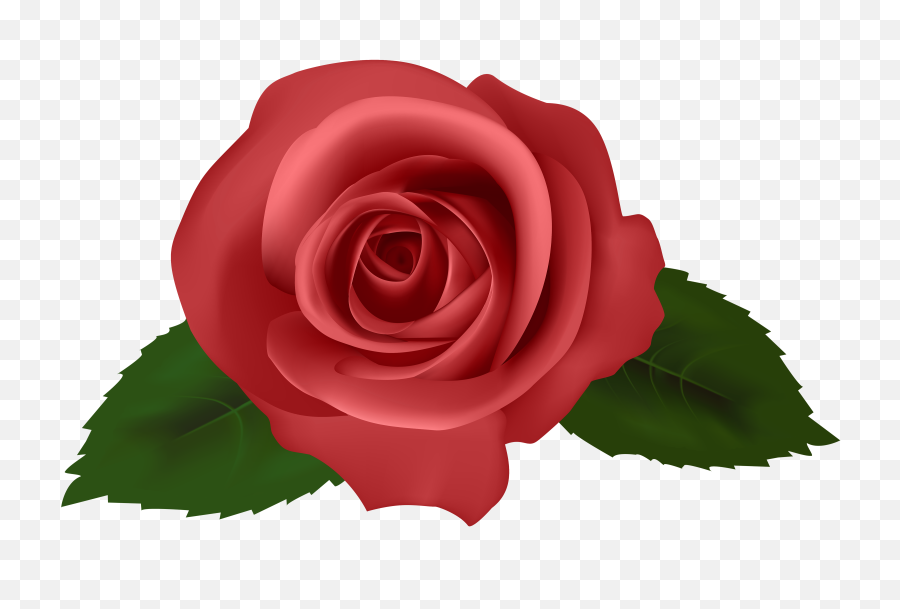 Wallpaper Roses Full Hd - Pinks Red Rose Red Clipart Png,Rose Png Hd