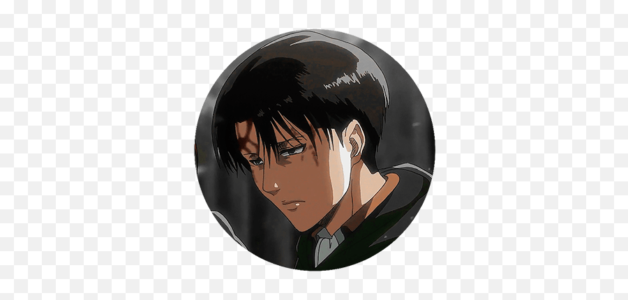 Aot Icons - For Adult Png,Mikasa Icon