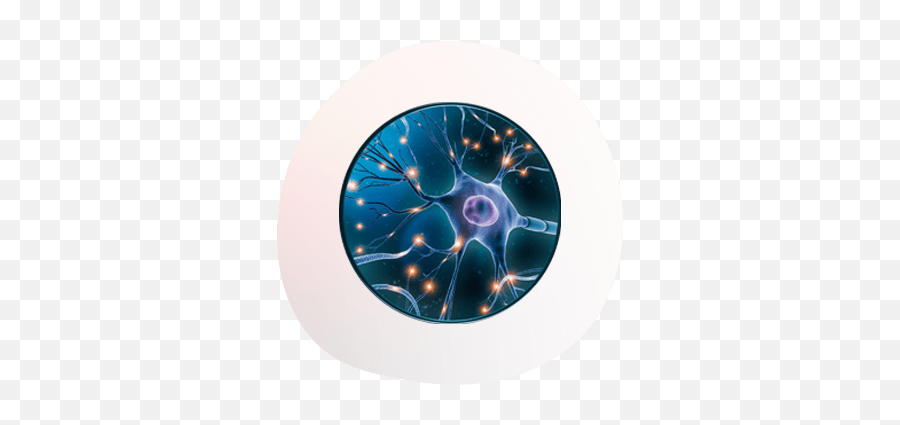 Researchu0026development - Omnion Research International Brain Cell Png,Electromagnetic Icon