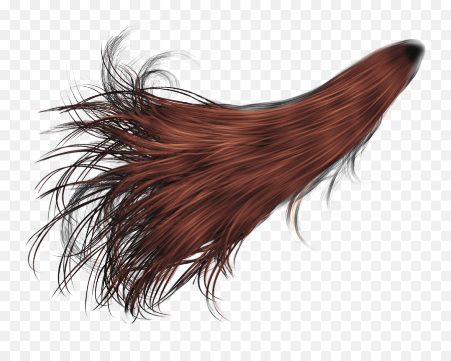 Png - Hair Pony Tail Png,Hair Png Transparent