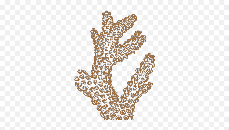 Brown Coral Png Svg Clip Art For Web - Download Clip Art Coral Vector Png,Xenoblade Chronicles Story Memo Icon