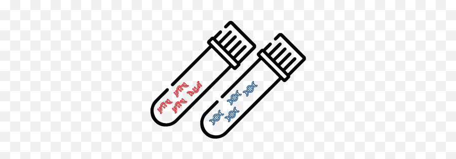 Plant Testing Quantabio - Clip Art Png,Nexus 5 Icon Size