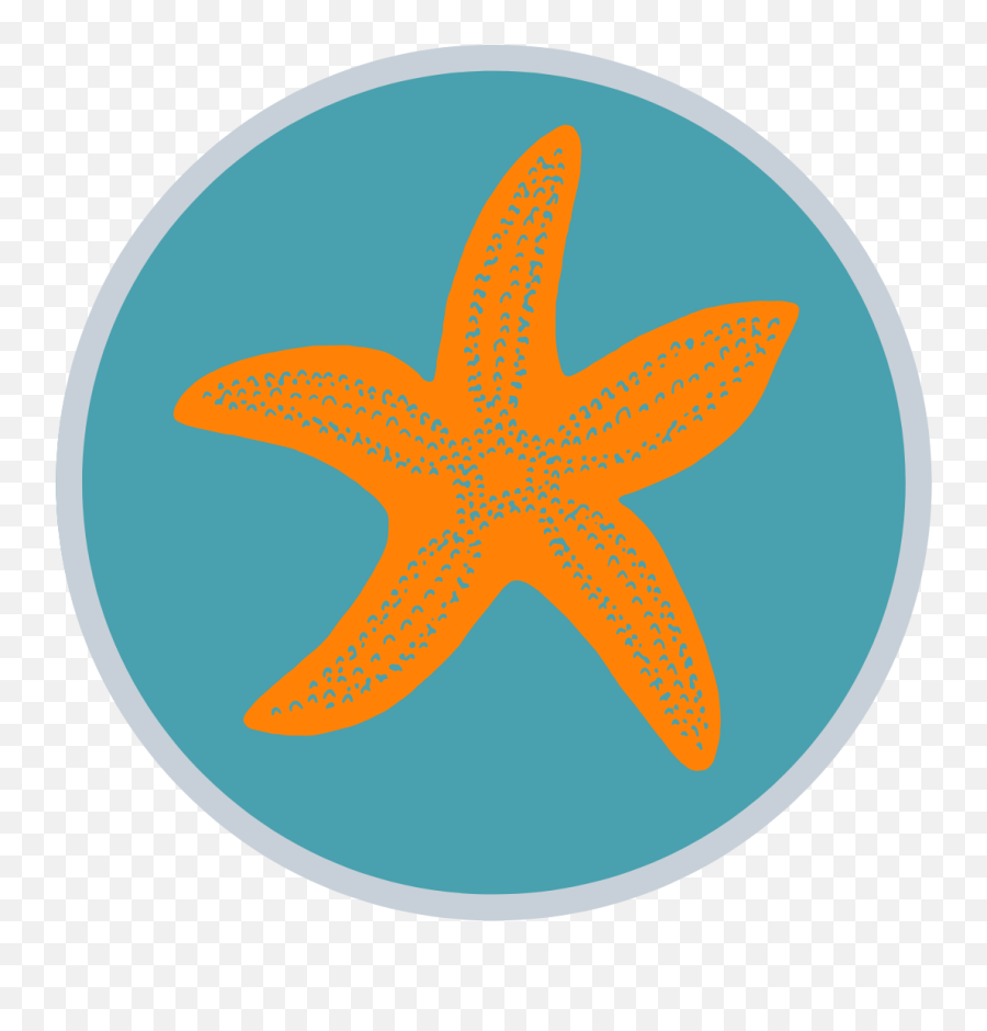 Become A Marine Scientist - Join Our Ocean Survey Expedtion Starfish Png,Starfish Small Icon