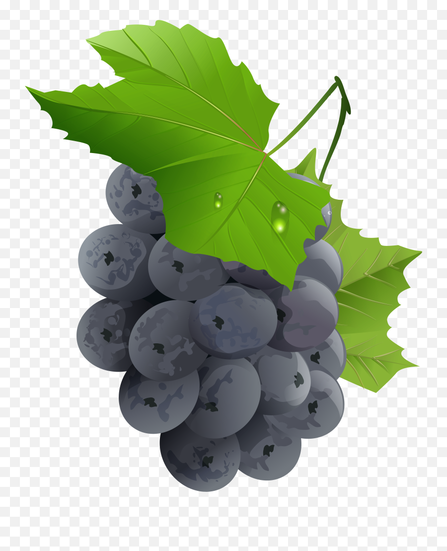 Grapes Transparent Png Clip Art Imageu200b Gallery - Full,Grapes Png