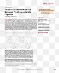 Brain Outline Png - Folio Five From Burchard Of De Locis Ac Mirabilibus Or An Illuminated Geography,Brain Outline Png