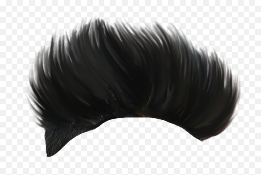 Hair Png Transparent Boy Image With - Black Hair Boy Png,Black Hair Png -  free transparent png images 