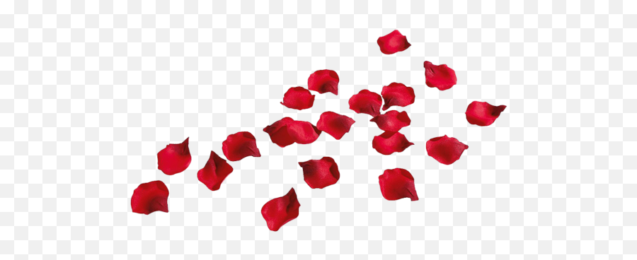 Rose Petals Free Png Image Arts - Png Transparent Background Rose Petals Png,Free.png Files