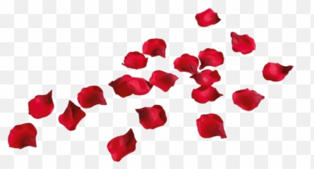 Rose Petals Free Png Image Arts - Png Transparent Background