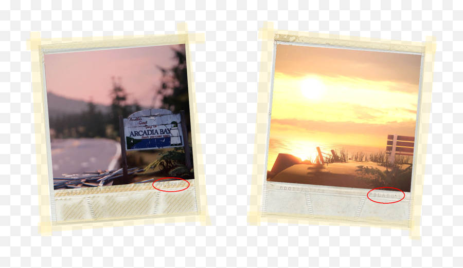 Download Polaroid - Life Is Strange Polaroid Png Full Size Life Is Strange,Poloroid Png