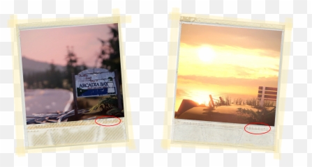 Download Polaroid - Life Is Strange Polaroid Png Full Size Life Is Strange,Poloroid Png