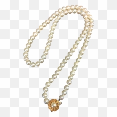Download Pearl K Gold White Freshwater - Necklace png