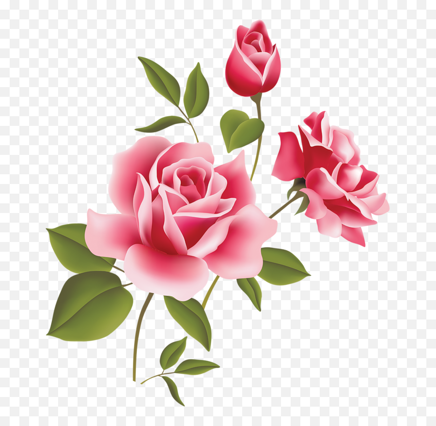 Flower Rose Pink Three Free Images - Vector Pink Rose Clipart Png,Rose Flower Png
