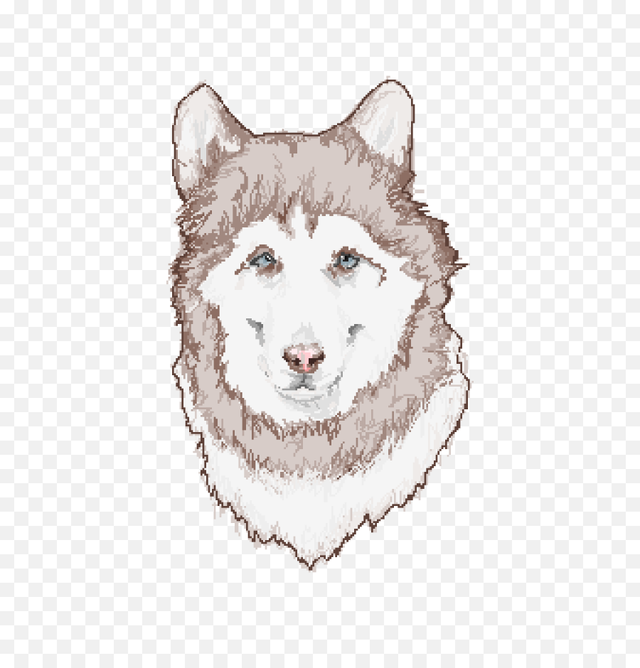 Download Mackenzie River Husky Hd Png - Uokplrs Mackenzie River Husky,Husky Transparent Background