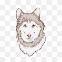 Download Mackenzie River Husky Hd Png - uokplrs