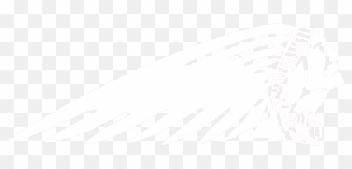 Download Indian Motorcycle Logo Black - png