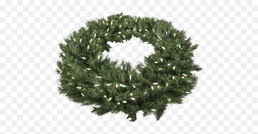 48 Taiga Evergreen Wreath With 300 Led Lights - Wreath Png,Christmas Wreath Png
