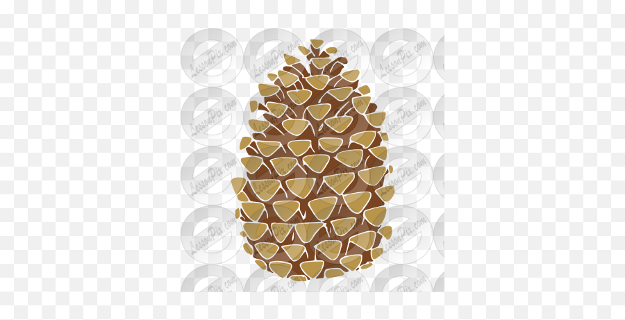 Pinecone Stencil For Classroom Therapy Use - Great Conifer Cone Png,Pinecone Png
