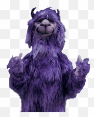 Download Hd Report Abuse - Fall Out Boy Llama Png,Fall Out Boy Transparent