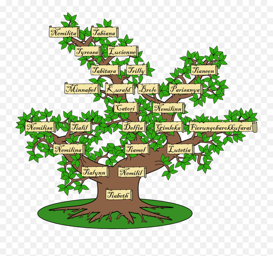 Top Clicks Links - Family Tree 1070x958 Png Clipart Download Family Tree Clara Barton Family,Tree Png Top