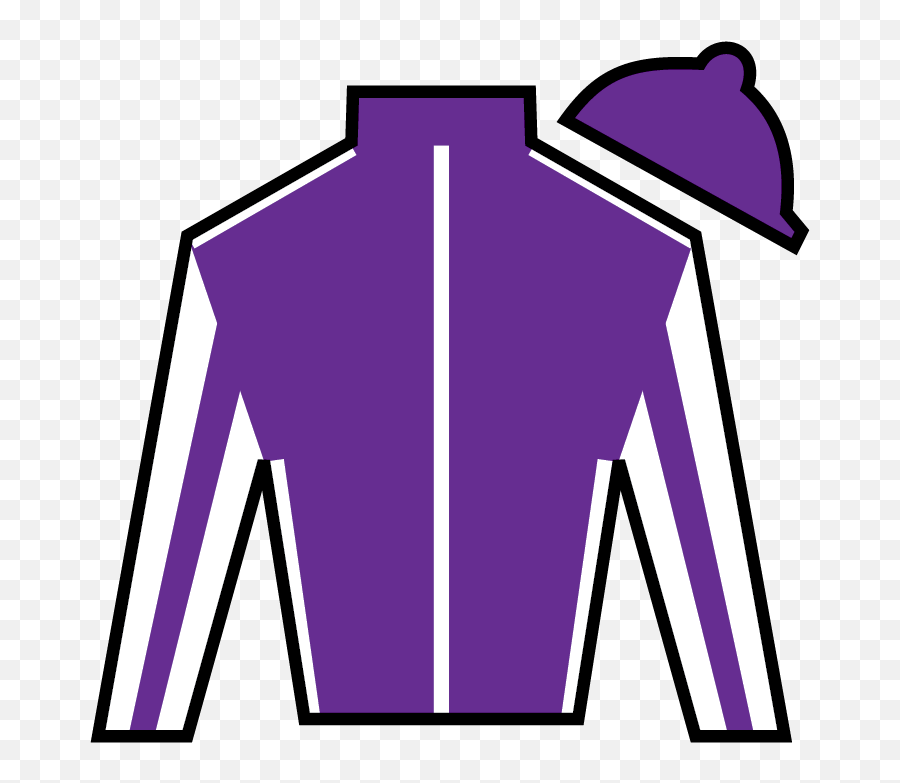 144th Kentucky Derby Silks Colors And Patterns - 2018 Lady Kentucky Oaks Silks 2020 Png,Kentucky Derby Logo 2017