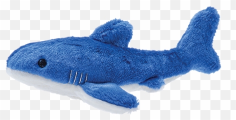 Baby Bruce The Shark U2014 Ruff Life Pet Outfitters Png