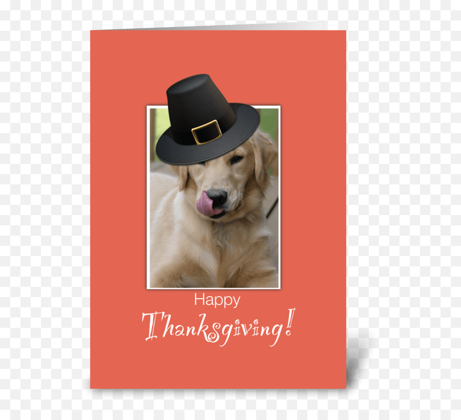 Funny Dog Thanksgiving Humorous - Labrador Retriever Png,Funny Dog Png