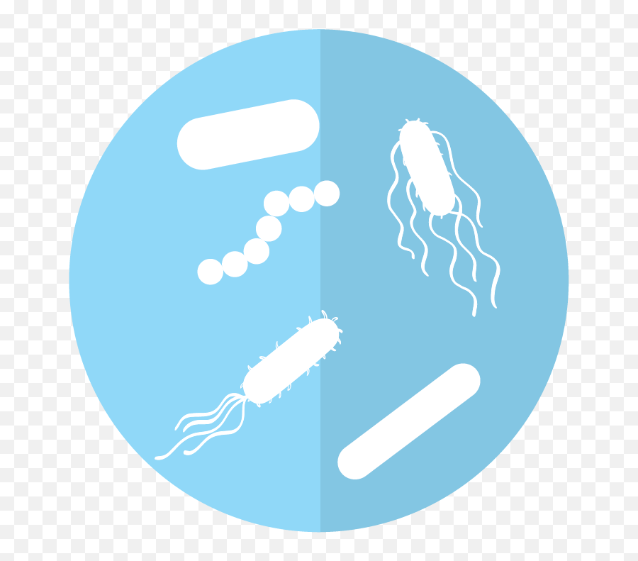 Dini - Andreote Lab Microbial Ecology Penn State Bacteria Png,Microbiome Icon