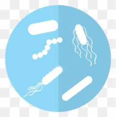 Dini - Andreote Lab Microbial Ecology Penn State Bacteria png