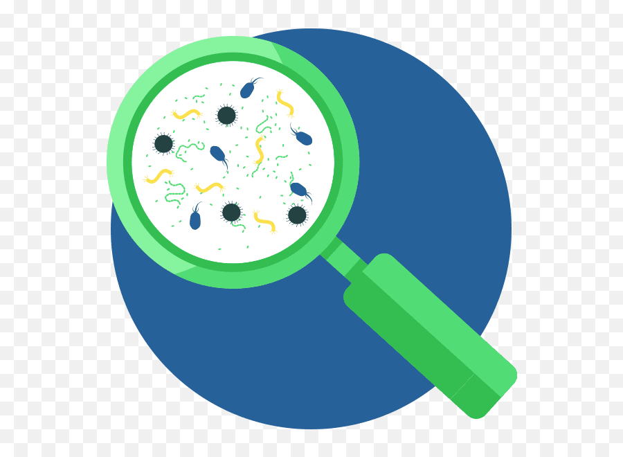 Mold Assessment U0026 Remediation - Green Orchard Group Dot Png,Mold Icon