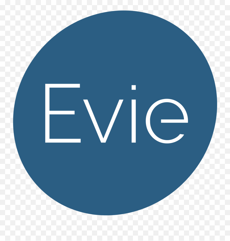 Google Suite Domain Setup Evieai - Vertigo The High Life Png,Evie Icon