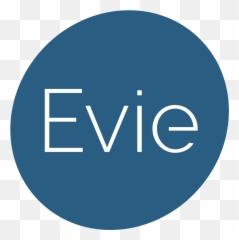 Google Suite Domain Setup Evieai - Vertigo The High Life png