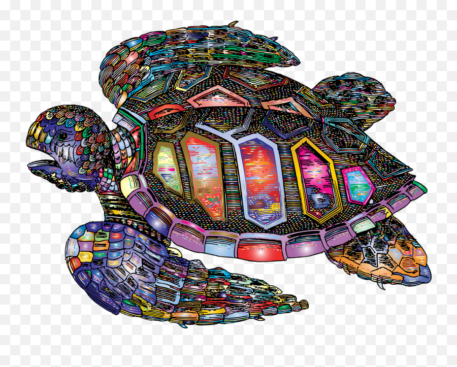 Free Photo Turtle Sea Animal Shell Tortoise Swim Png Icon