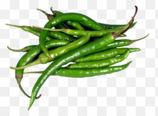 Download Free Fresh Chili Pic Green Pepper Icon Favicon Png