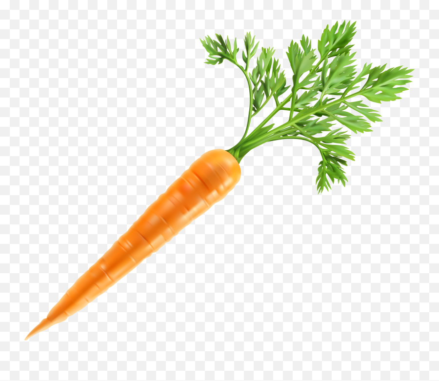 Clipart Carrot Png Images Carrots