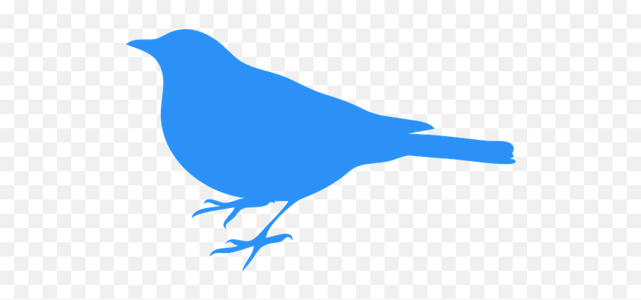 Download Bluebird Bird Animal Blue - Bird Silhouette Clip Art Png,Blue Bird Png