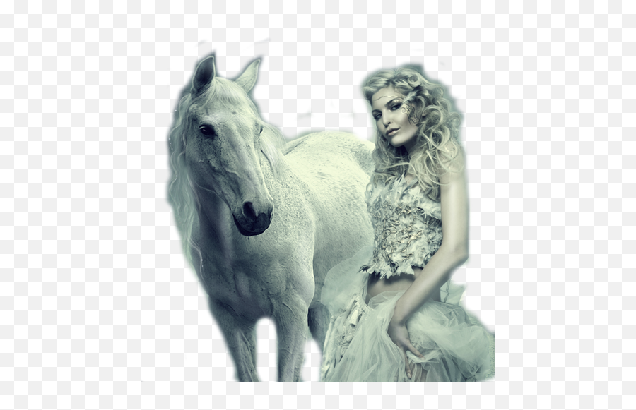 Beautiful Women With Horses Png Tubes Woman