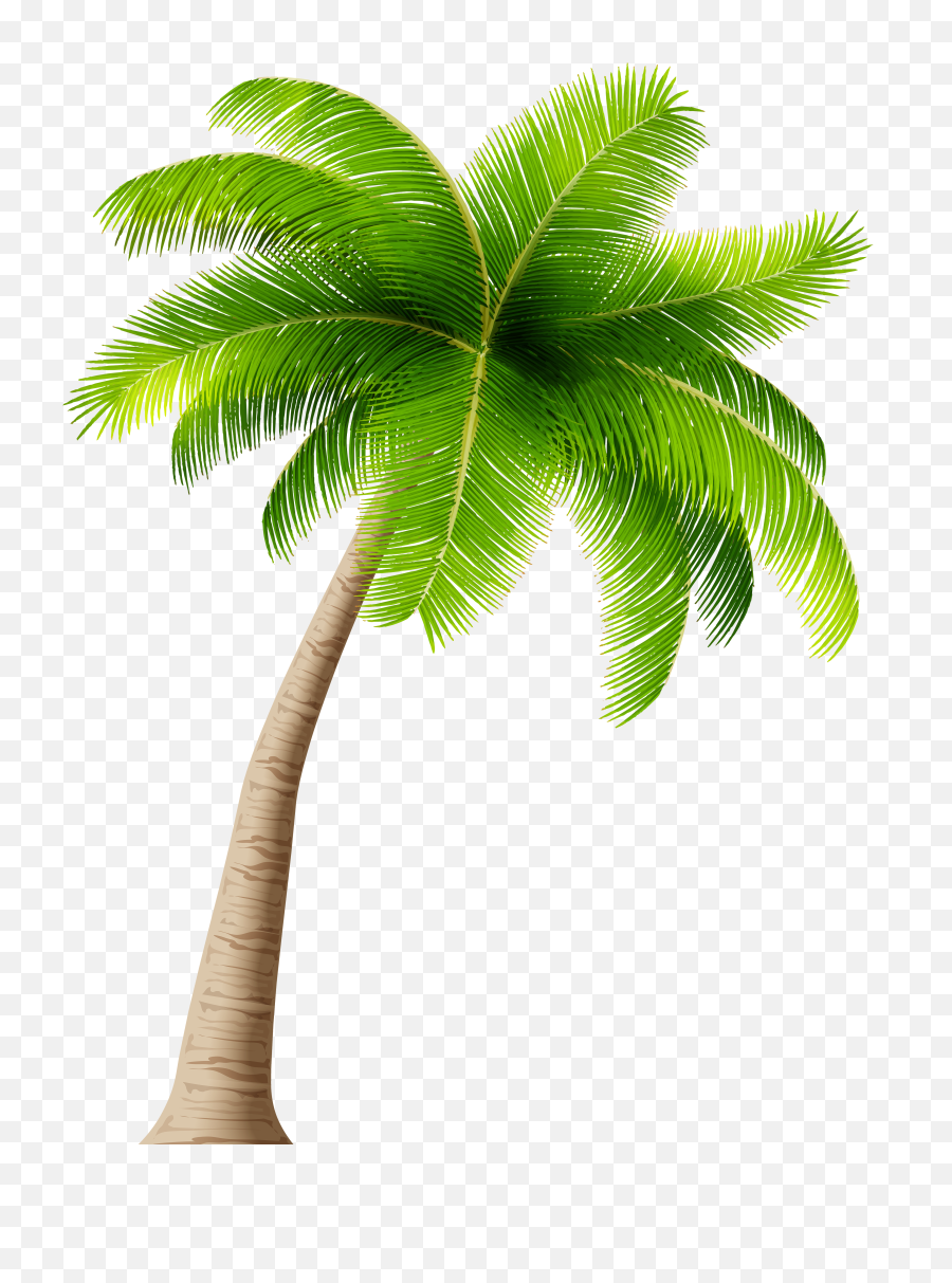 Free Transparent Palm Trees Download - Transparent Background Palm Tree Png,Palmtree Png