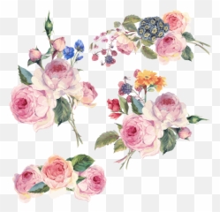 Download Flower Vector Design Floral Flowers Hand - Painted Png Free