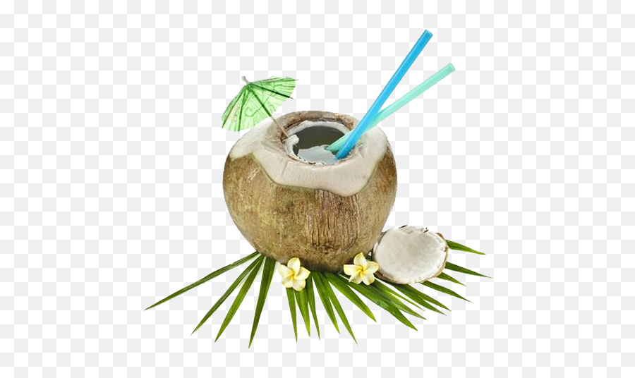 Nariyal Cool - Packed Tender Coconut Water In Hyderabad Pudding Png,Coconut Transparent Background