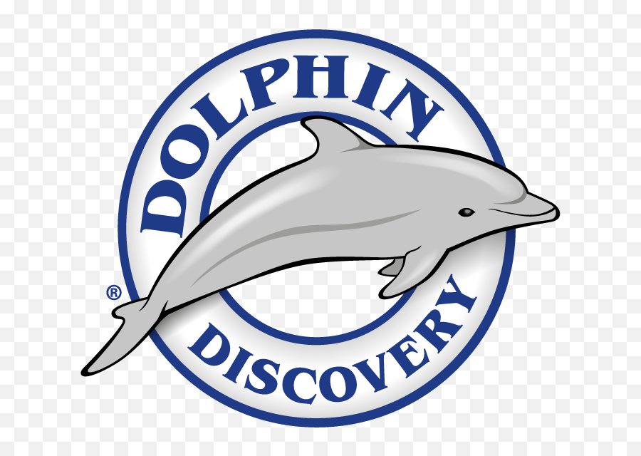 Dolphin Discovery Punta Cana Logo - Dolphin Discovery Punta Cana Logo Png,Dolphins Logo Png