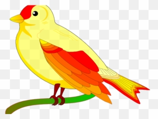 Kiwi Bird Png - Kiwi Bird Clipart Golden Identifying Big Art