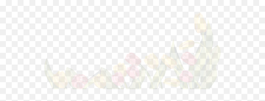Spring Background Png Picture