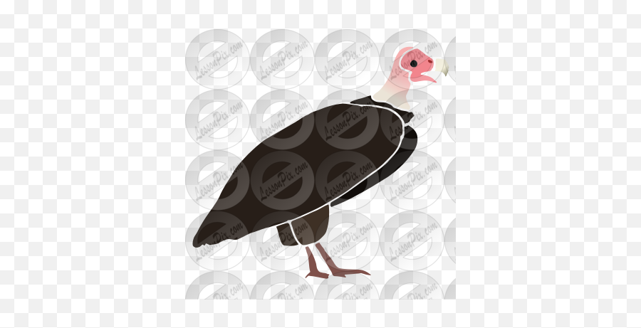 Vulture Stencil For Classroom Therapy Use - Great Vulture Turkey Png,Vulture Transparent