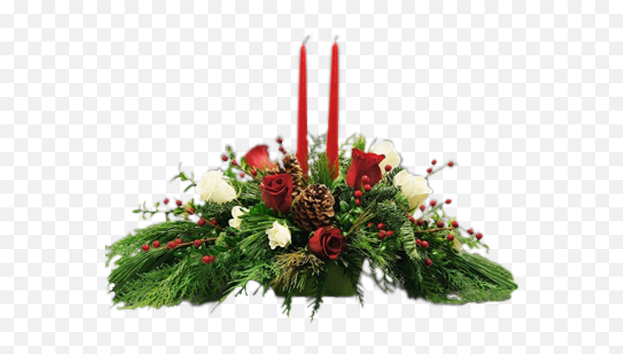 Roses - Advent Png,Christmas Greenery Png