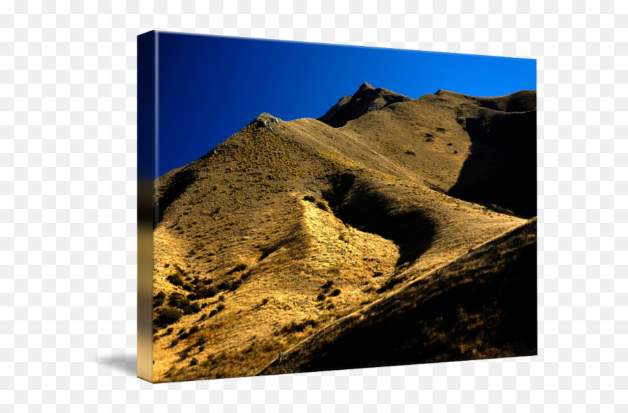 Tussock Grass Hills Of Nz By David Bleakley - Rock Desert Png,Grass Hill Png