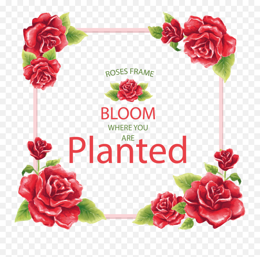 Download Com Floral Frame Vintage Flowers Red Roses - Floral Png,Vintage Roses Png